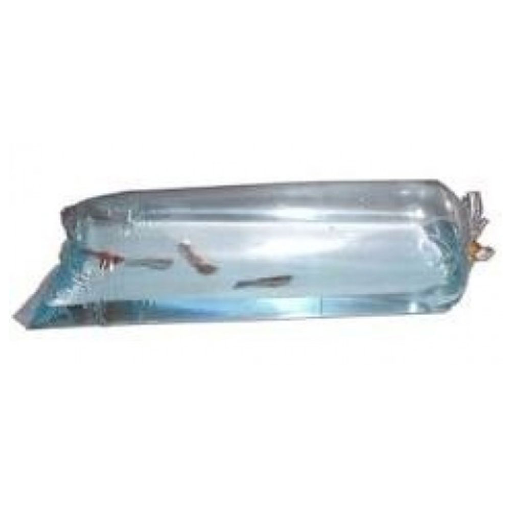 Round Corner Plastic Fish Bag (16"x10")