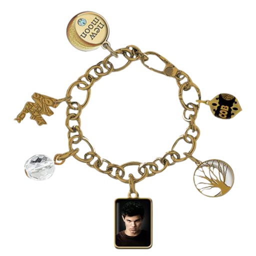 [IC1GKTI01] Twilight New Moon Jewellery Chunky Charm Bracelet (Jacob)