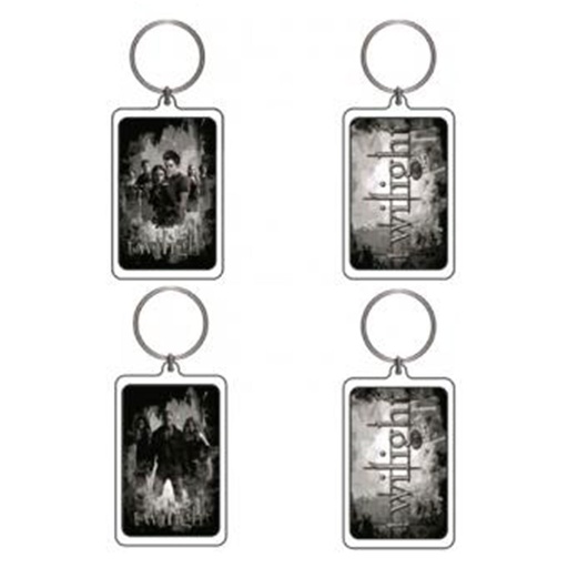 [IC1GCSE01] Twilight Lucite Keychain G&H (Bad Vamps Cull BTS)