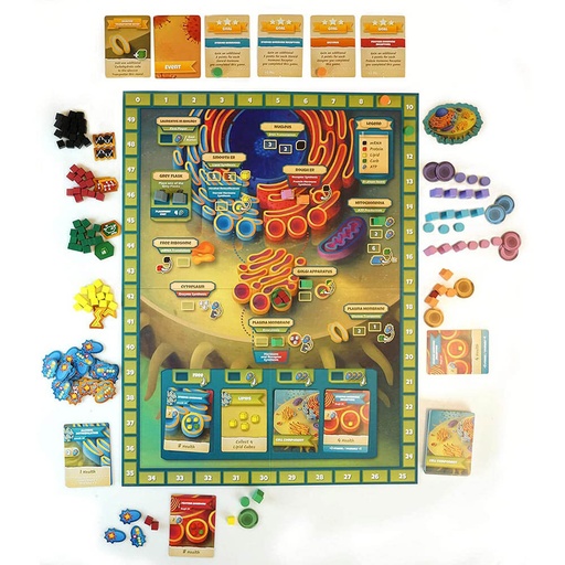 [VR2UWFY01] CYTOSIS A Cell Biology Game Board Game