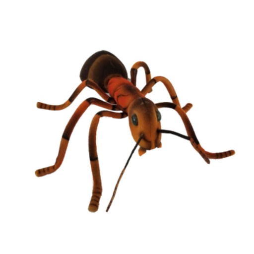 [CA4XFNX01] Ant Plush Toy (25cm W)