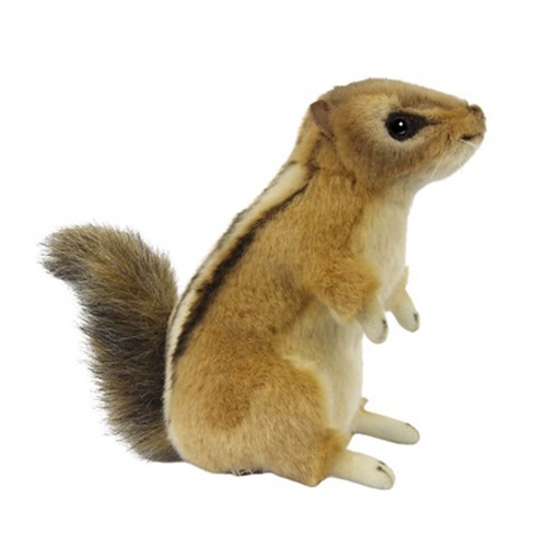 [CA4MIDI01] Chipmunk Plush Toy (8cm W)