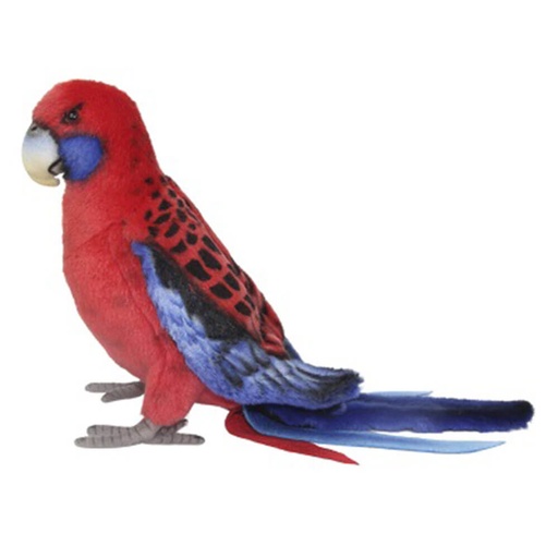 [CA4XPMR01] Crimson Rosella Plush Toy (30cm L)
