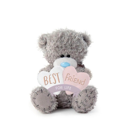 [JR5QFNP01] Me To You Best Friend For Life Plush Bear