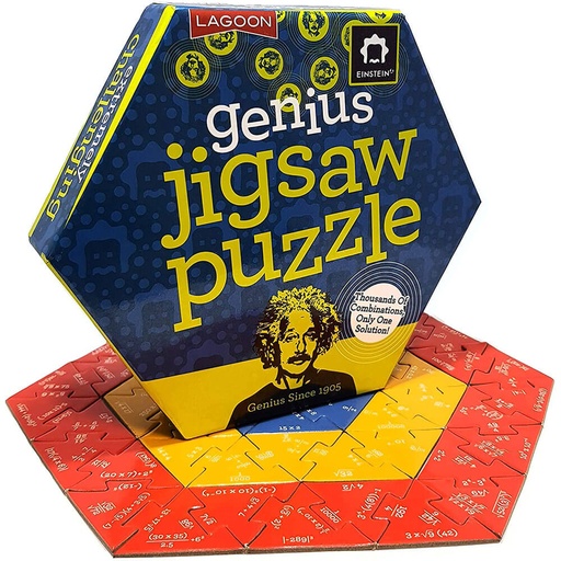 [UG1OGTY01] EINSTEIN Genius Jigsaw Puzzle