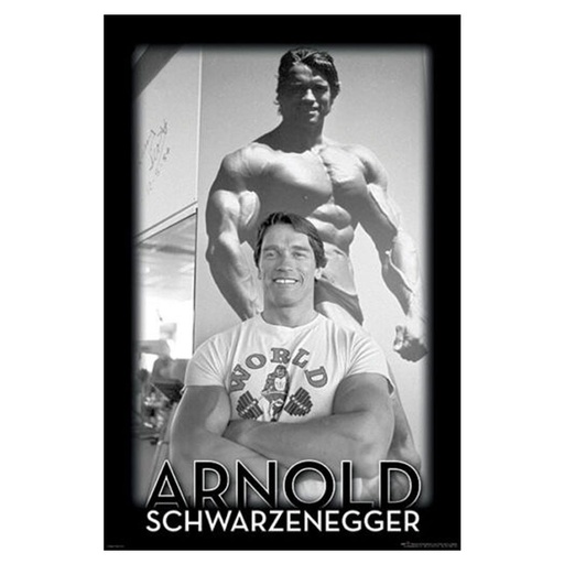 [IM1LXAH01] Arnold Schwarzenegger Poster
