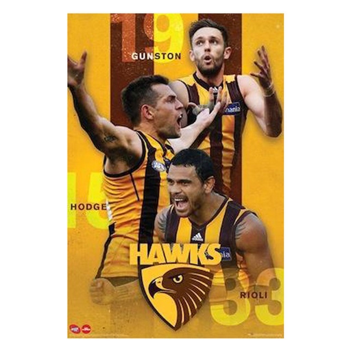 [IM1VKSP01] AFL Hawthorn Players 17 Poster