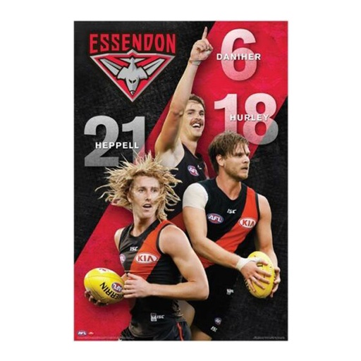 [IM1RLQW01] AFL Essendon Players '18 Poster (61x91cm)