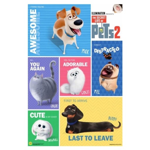 [IM1ZZTZ01] The Secret Life of Pets 2 Grid Poster