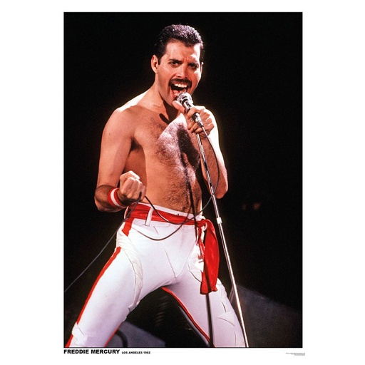 [IM1OSLB01] Freddie Mercury Poster