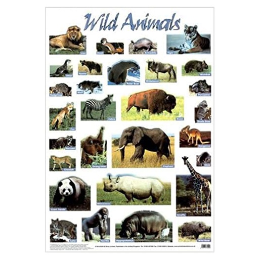 [IM1NVNM01] Animals Wild Poster