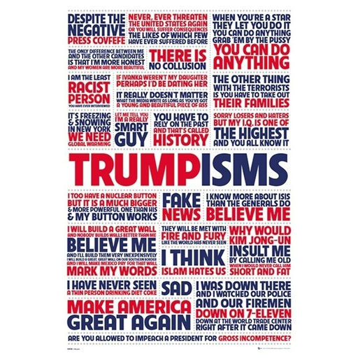 [IM1MJZM01] Trumpisms Quotes Poster