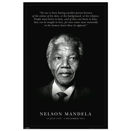 [IM1DRFX01] Mandela Commemorative Poster