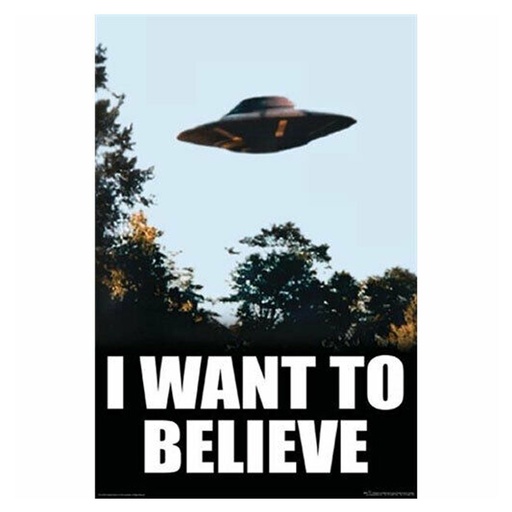[IM1XHVJ01] X-Files I Want To Believe Poster