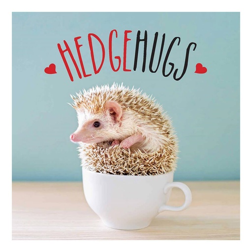 [BS1DBMH01] Hedgehugs Novelty Book