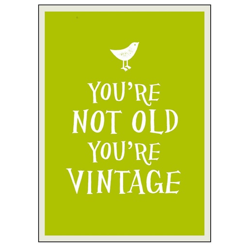 [BS1BYAQ01] You're Not Old, You're Vintage Self Help Book
