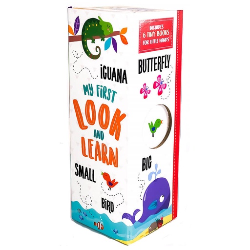 [BS1DLFQ01] My First Look & Learn Early Learning Book