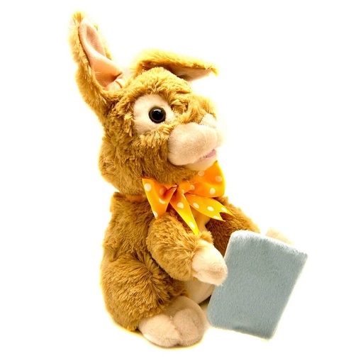 [BS1AKLT01] Reader Rabbit Animated Plush