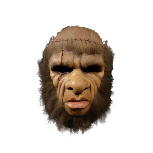 [IC8TCGL01] Hammer Horror Frankenstein and the Monster From Hell Mask