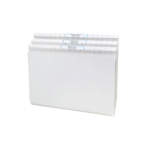 [WS1OUMK01] Avery Quickview File with Title Labels (50pk)