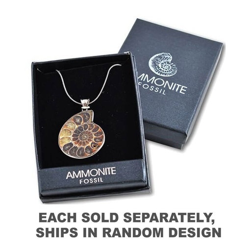 [SN3ZRWU01] British Fossils Ammonite Pendant (1pc Random Style)