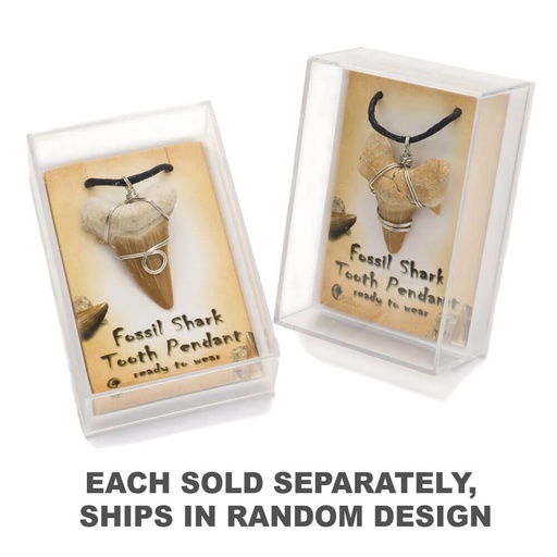[SN3ZKYY01] British Fossils Shark Tooth Pendant (1pc Random Style)