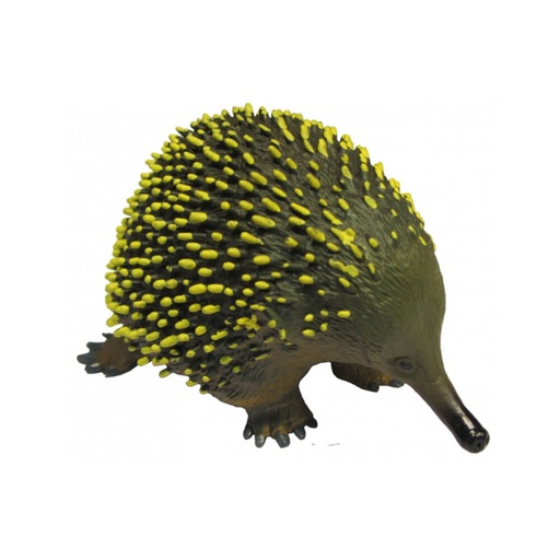 [SN3PPHX01] Animals of Australia Large Echidna Replica