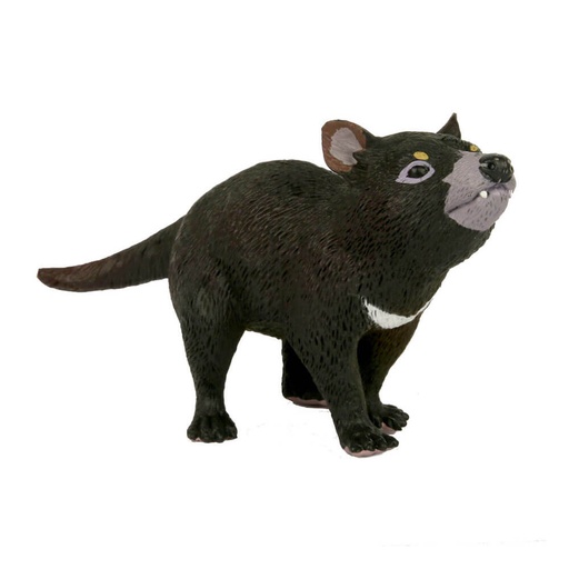 [SN3ZVGZ01] Animals of Australia Large Tasmanian Devil Replica