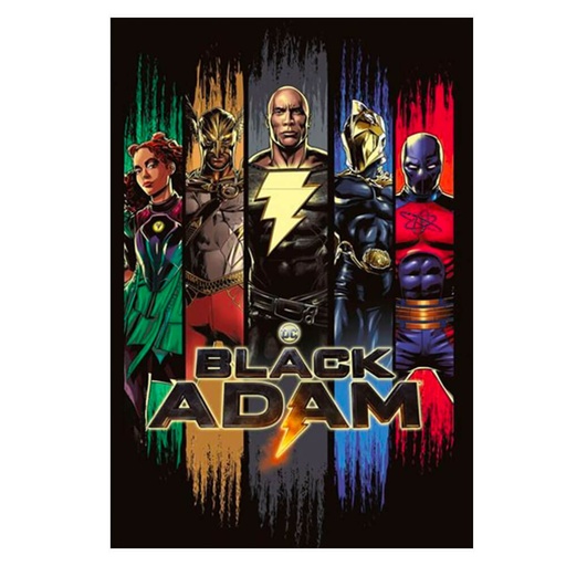 [IM2NQPH01] Black Adam Character Panels Poster
