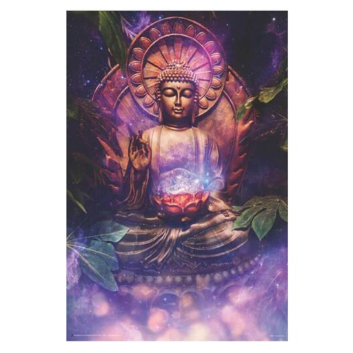 [IM2BYFL01] Tranquil Buddha Poster