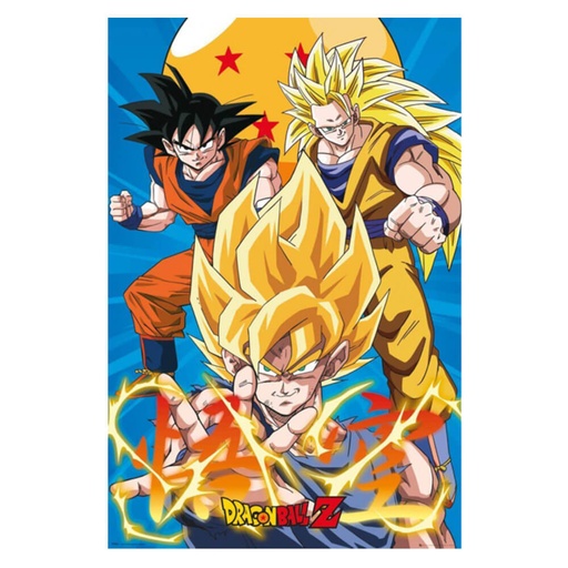 [IM2LYUN01] Dragon Ball Z 3 Gokus Evo Poster