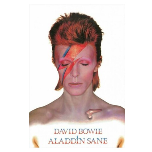 [IM2SKJR01] David Bowie Aladdin Sane Poster
