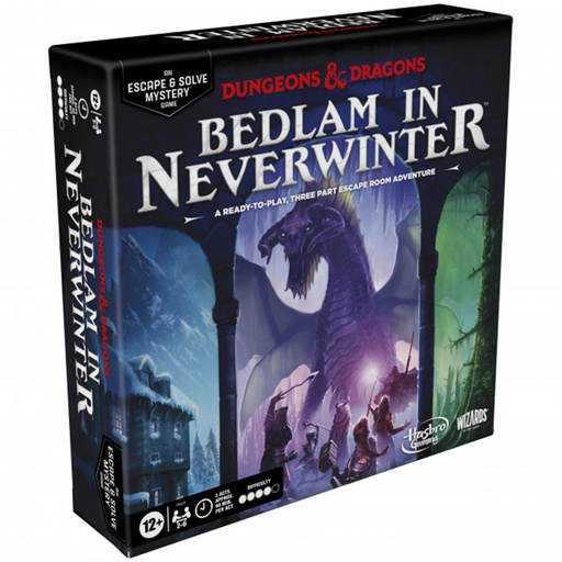 [AI1JAXE01] D&D Bedlam in Neverwinter Escape Room Game