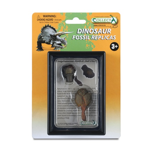 [RP1ZEEA01] CollectA Tooth and Tails of Ankylosaurus in Display Case