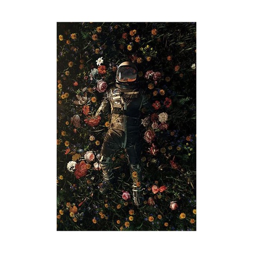 [IM3BDZV01] Astronaut Nicebleed Garden Delights Poster (61x91.5cm)