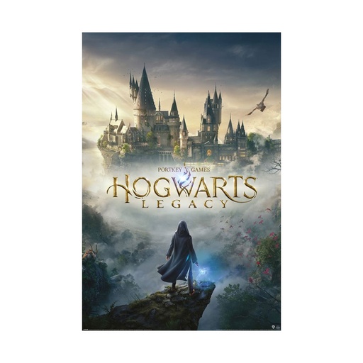 [IM3WCKV01] Harry Potter Hogwarts Legacy Poster (61x91.5cm)