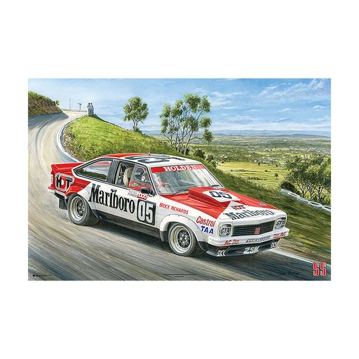 [IM3GQOE01] Holden 1979 HDT A9X Torana Mike Harbar Poster