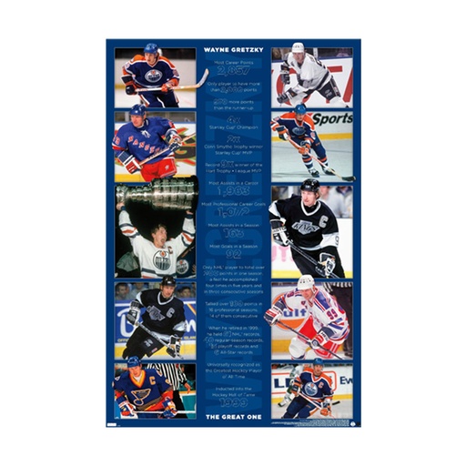 [IM3GCAI01] Wayne Gretzky Stats Poster (61x91.5cm)