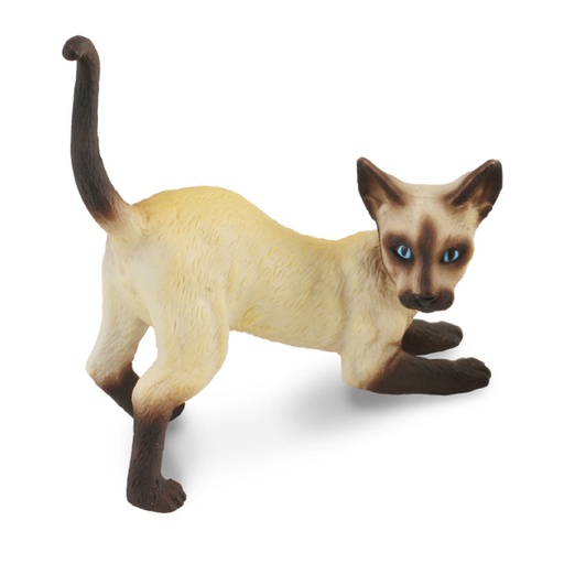 [RP2KTLT01] CollectA Siamese Cat Stretching Figurine