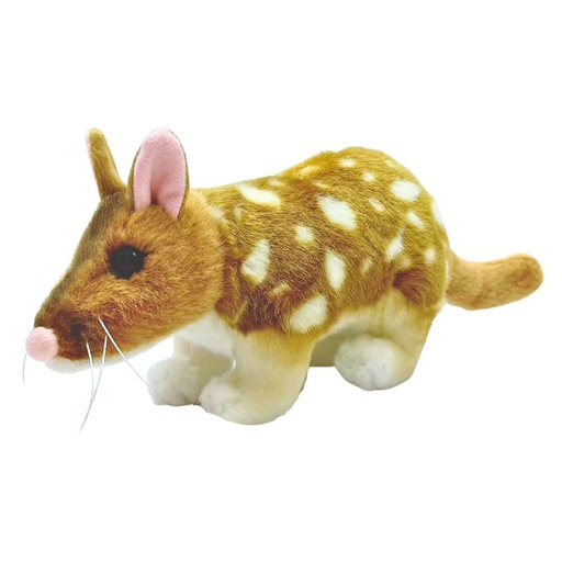 [CA6YZUH01] Queenie the Quoll Soft Animal Stuffed Toy 30cm