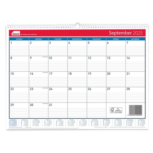 [WS6GANZ01] Sasco Month to View 2025 Calendar (530x395mm)
