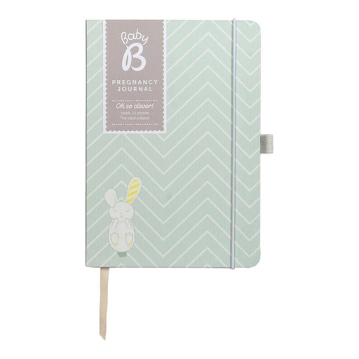 [BM4AHPQ01] Baby B Pregnancy Planner