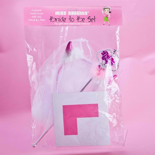 [MI10HNB01] Hens Night Bride to Be Kit