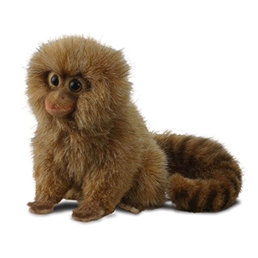 [CA1HPM01] Hansa Pygmy Marmoset (15cm)