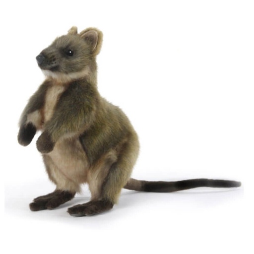 [CA1HQP01] Hansa Quokka Plush Toy (22cm)