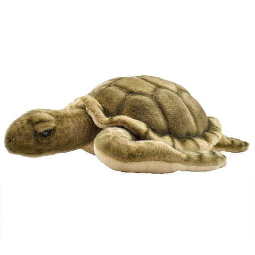 [CA1STO01] Hansa Sea Tortoise (50cm)