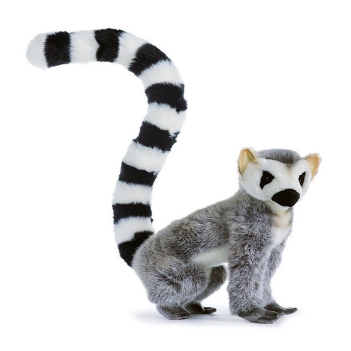 [CA1SLE01] Hansa Sitting Lemur