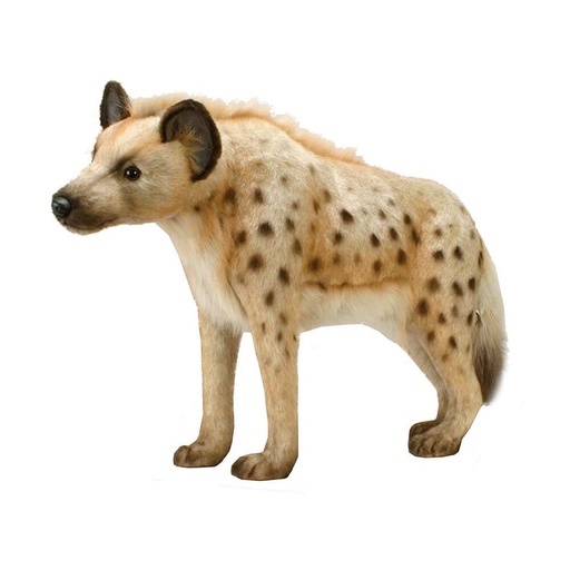[CA1SHY01] Hansa Spotted Hyena (35cm)