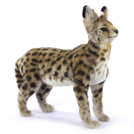 [CA1HSA01] Hansa Standing African Serval Cat (48cm)