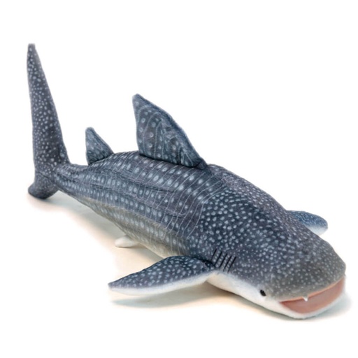 [CA1WSH01] Hansa Whale Shark (56cm)
